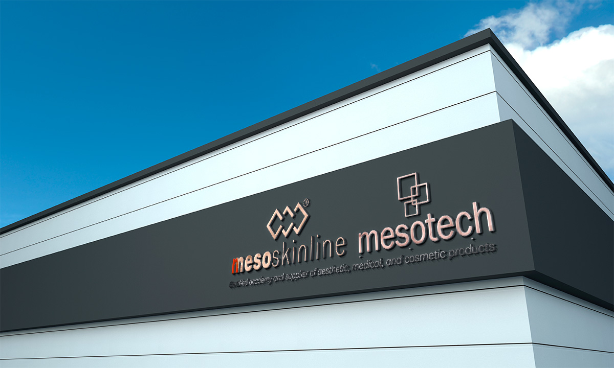 mesoskinline building &ndash; image