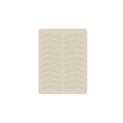 Practice skin (Choose between: Head, Face, Brow, Lips 2D and 3D)