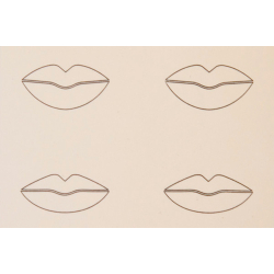 Practice skin (Choose between: Head, Face, Brow, Lips 2D and 3D)