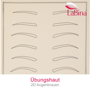 Practice skin eyebrows