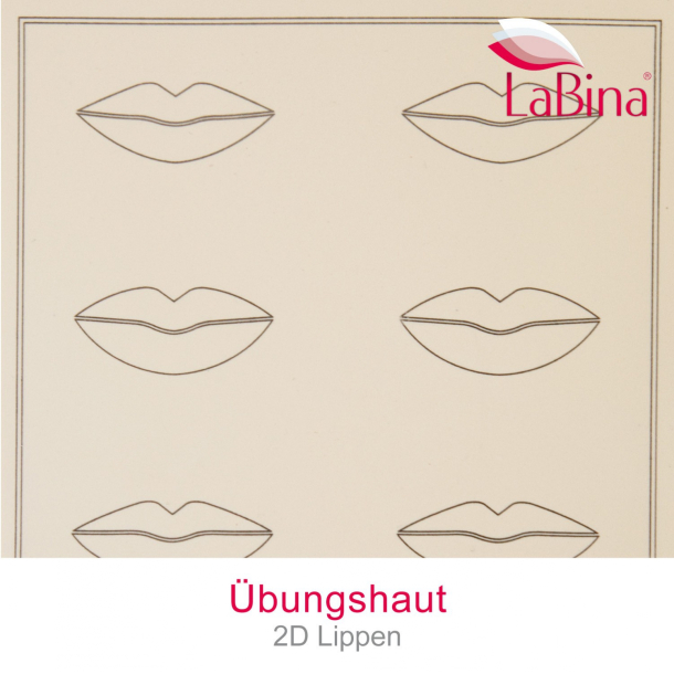 Practice skin 2D lips