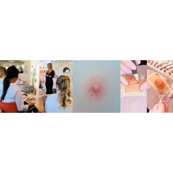 Course in scar correction and 3D areola (Combined online teaching and practice)